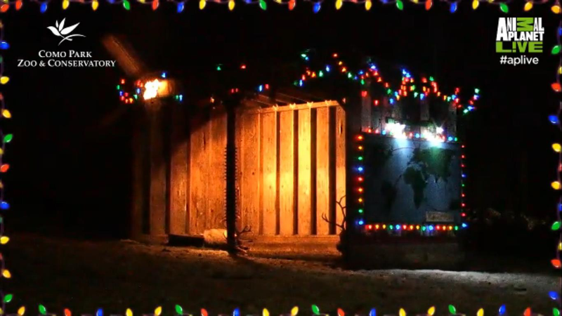 Illustration for article titled Animal Planet’s live reindeer cam isn’t creepy or intrusive in the least